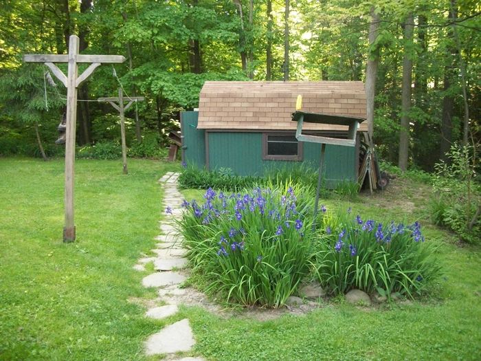 Irises and the shed at Turtle Art Camp. Susan Shie 2012