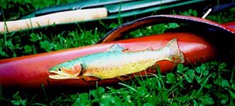 Detail of a rod case, tooled amd painted trout.