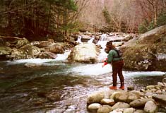Jimmy fly fishing in the Great Smoky Mountain National Park.