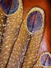 Detail of back of murat flask.©James Acord 2002.\