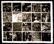 Walking Away 1998 Bonnie Peterson.
