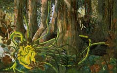 Heartwood. Maya Schonenberger 1998.
