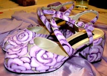 issie's Shoes, after, closer Susan Shie 2001.
