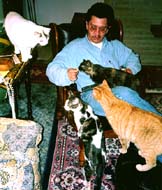 Jimmy's cat feeding frenzy.