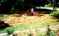 Doris protects the emerging Rainbow Garden.