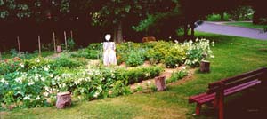 Garden at the start of Sept, 2000.
