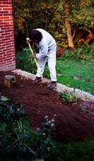 JImmy working hard on the raised beds.