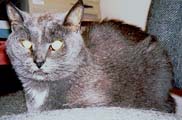 Meeper, when she was still very sick.
