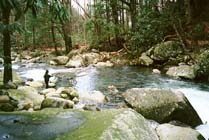 Jimmy fishes in the Smokys.