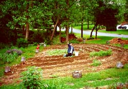 Robin waves from her stone pulling Susan Shie 2001.