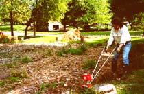 Jimmy tilling Rainbow Garden Susan Shie 2001.
