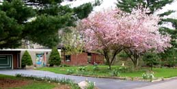 Turtle Moon in the Spring. Susan Shie 2002.