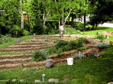 Jimmy tilling the rainbow garden with the Mantis. Susan Shie 2002.