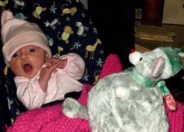 Eva and the Christmas Mouse.Gretchen Miller2004.
