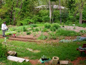JImmy tills the garden.Susan Shie 2004.