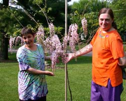 Robin and Chris show off our Wisteria.Susan Shie 2004.
