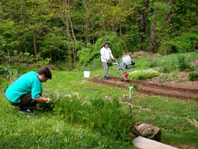 Robin and Jimmy in the garden.Susan Shie 2004.
